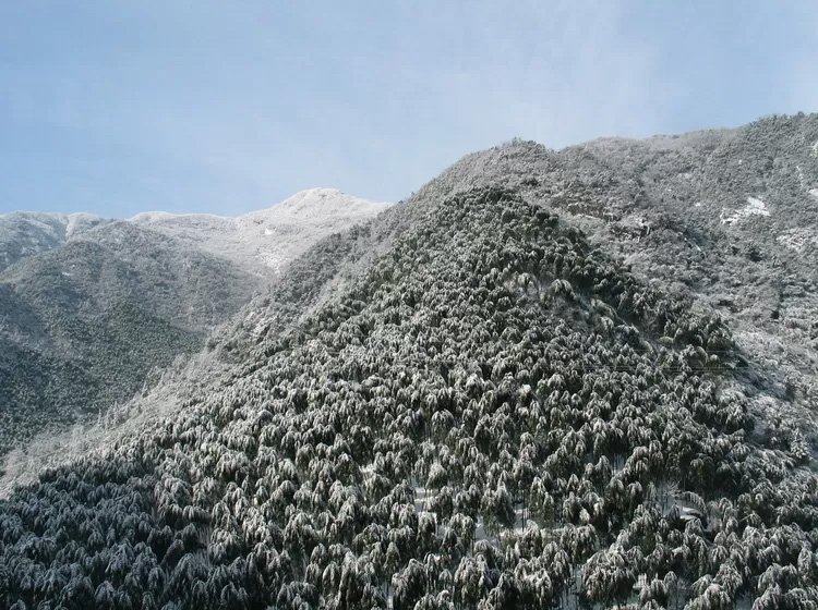 安吉深溪竹山泉