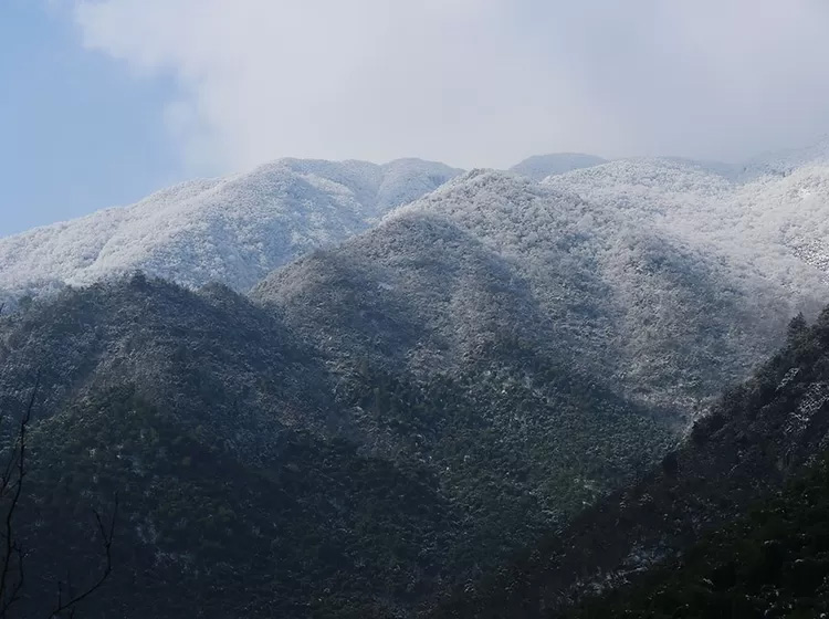 安吉深溪竹山泉