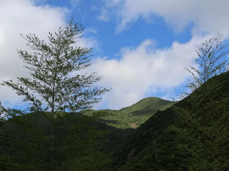 安吉深溪竹山泉