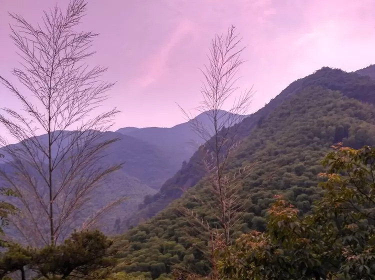 安吉深溪竹山泉