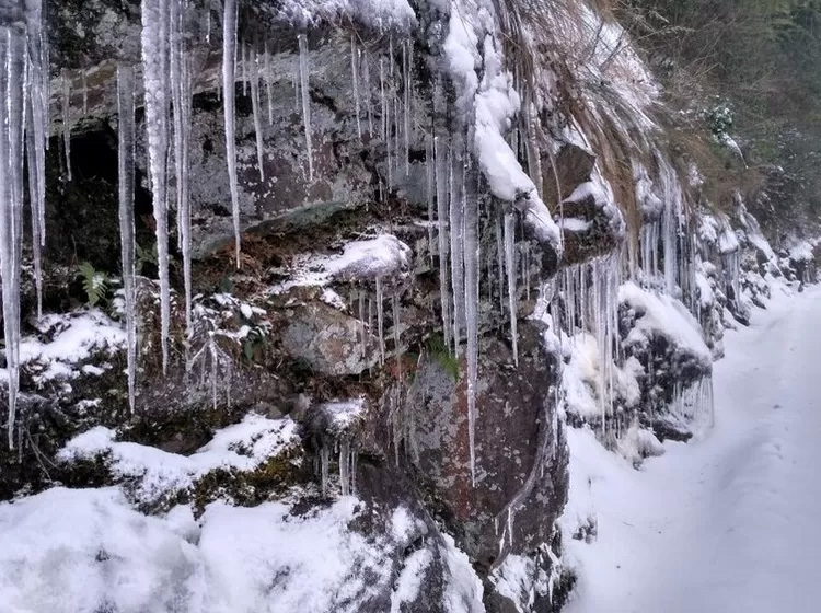 安吉深溪竹山泉