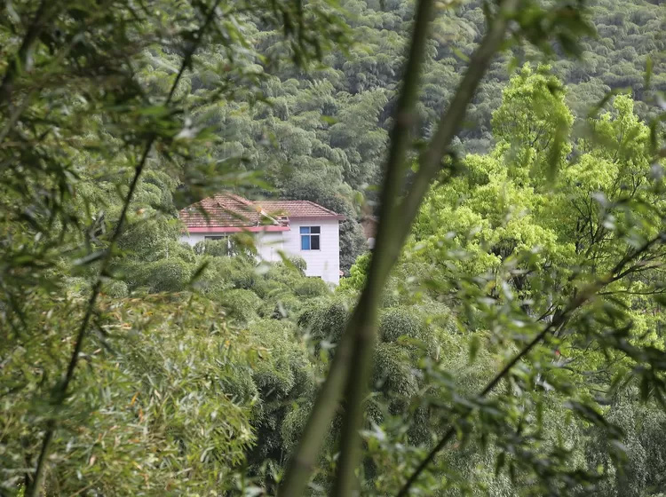 安吉深溪竹山泉