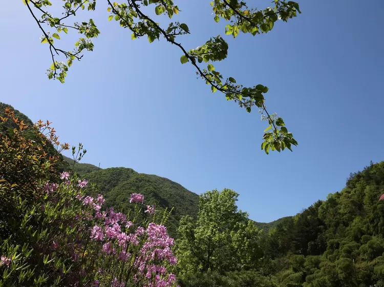 安吉深溪竹山泉