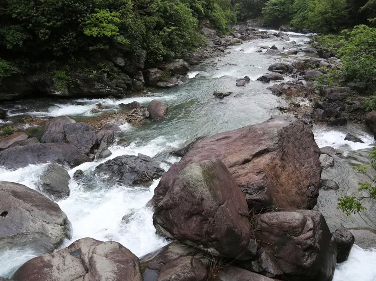 安吉深溪竹山泉