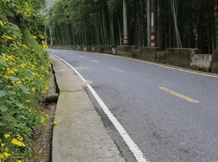 安吉深溪竹山泉