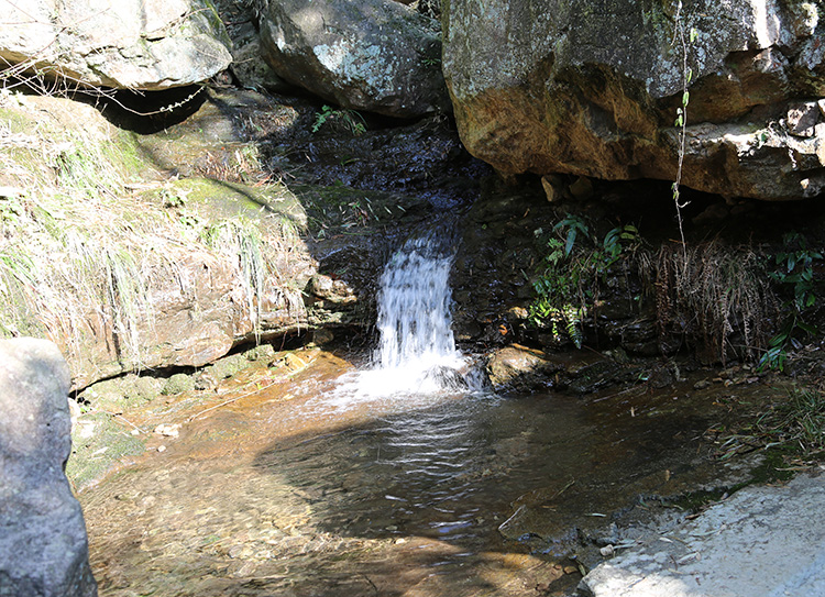 安吉深溪竹山泉