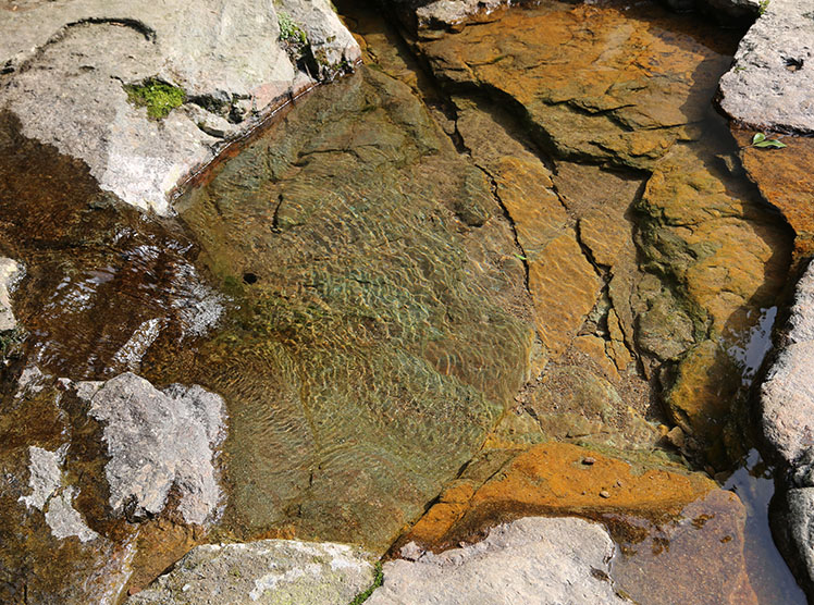 安吉深溪竹山泉