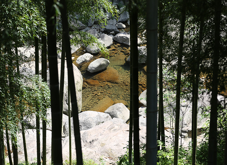 安吉深溪竹山泉