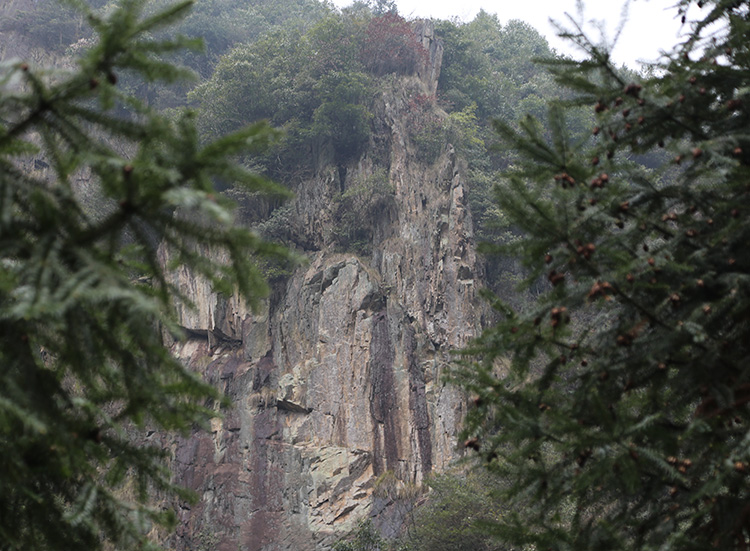 安吉深溪竹山泉