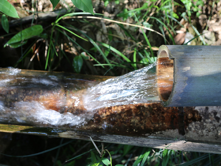 安吉深溪竹山泉