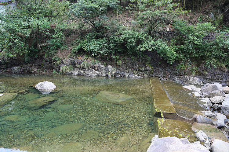 安吉深溪竹山泉